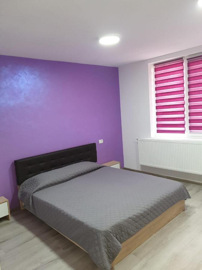 Apartament Negris Bîrlad Exteriör bild